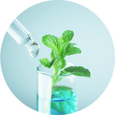 大数据智能育种系统