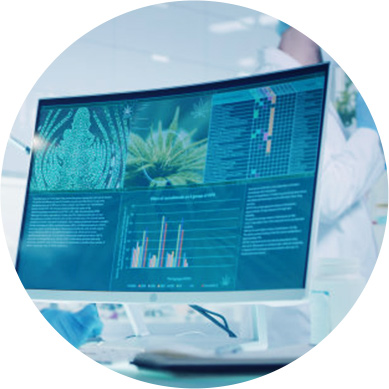 大数据智能育种系统