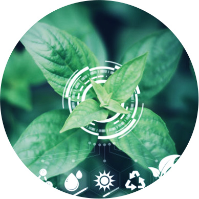 低密度基因分型-编码微芯片高通量基因分型系统