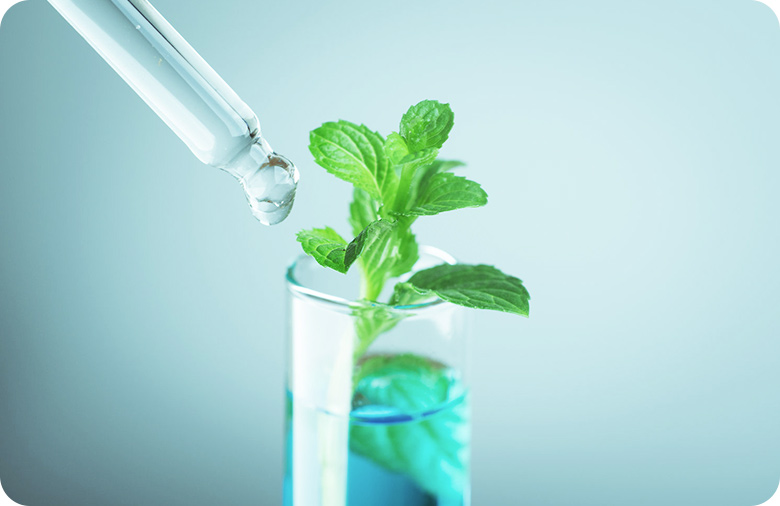 大数据<span>智能育种</span>系统