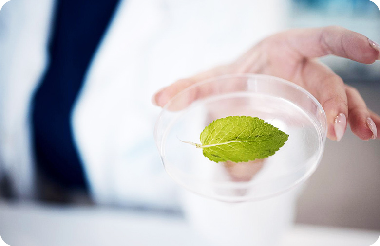 中高密度<span>基因分型</span>