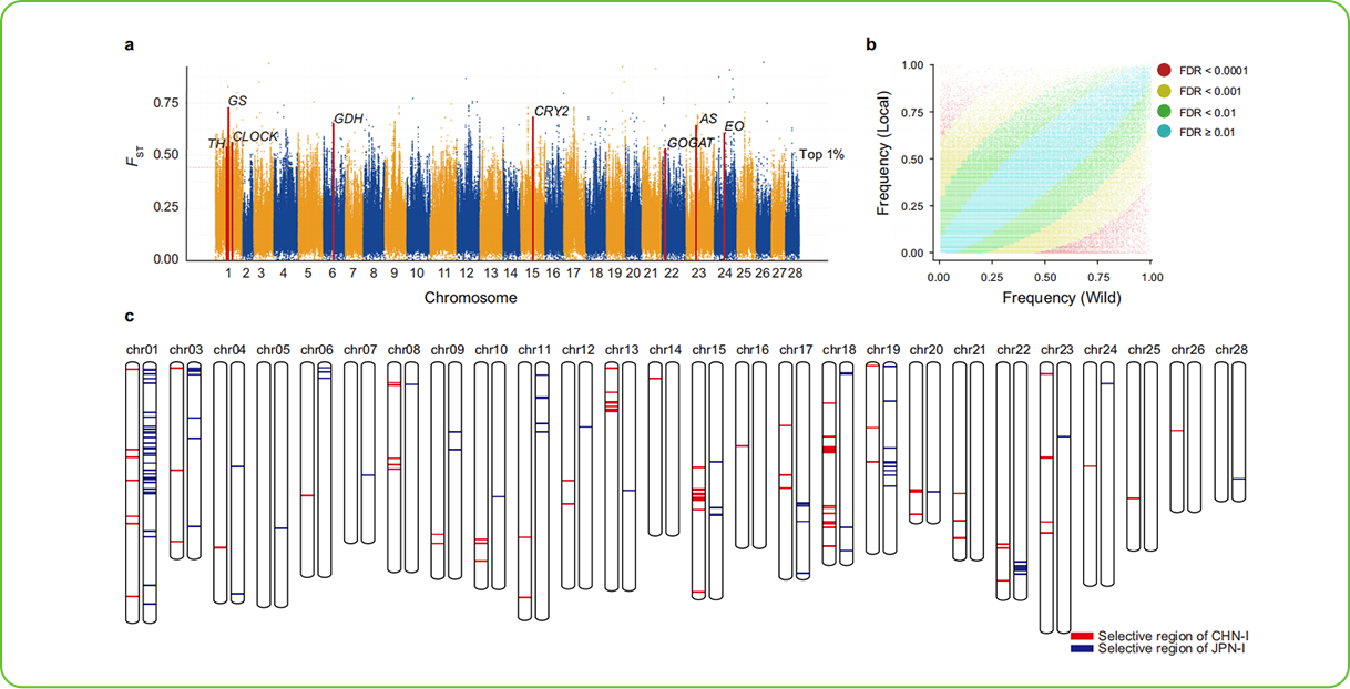 1739239010122 ybox21_editor01