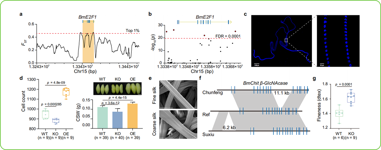 1739239013947 ybox21_editor02