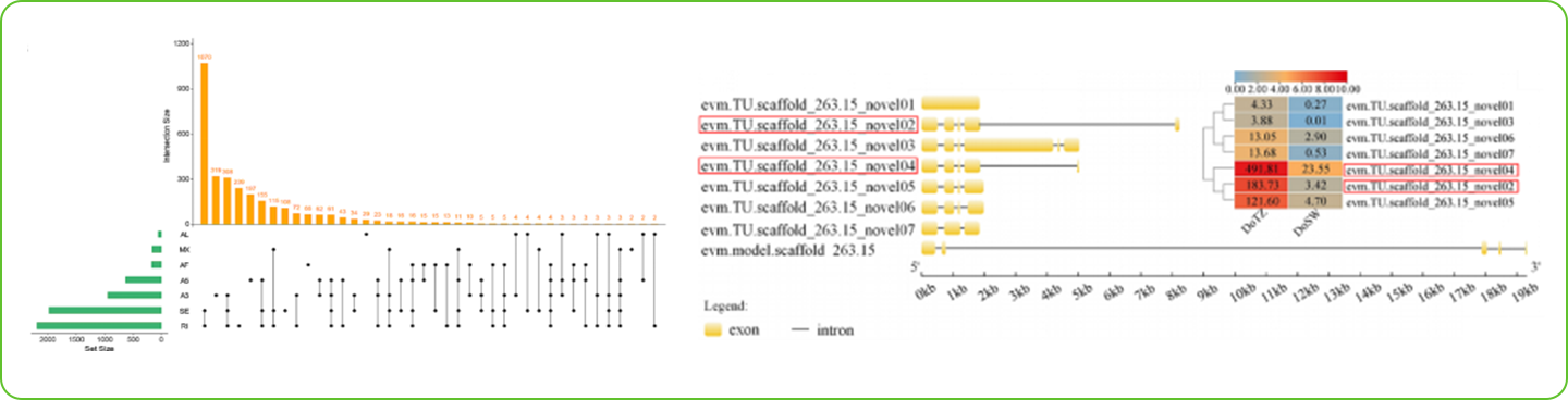 1739239761322 ybox21_editor03