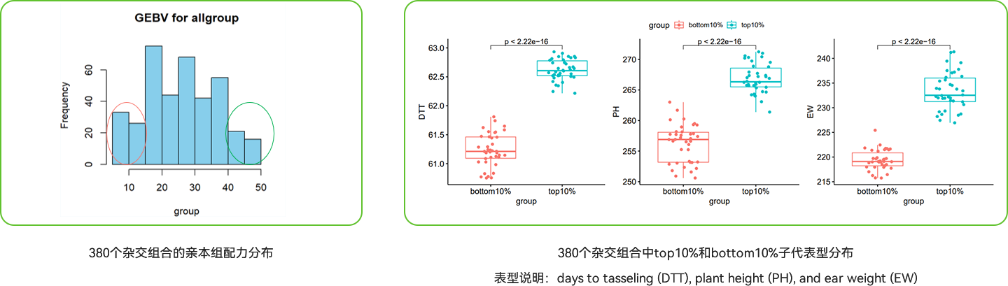 1739259725612 1739237628406