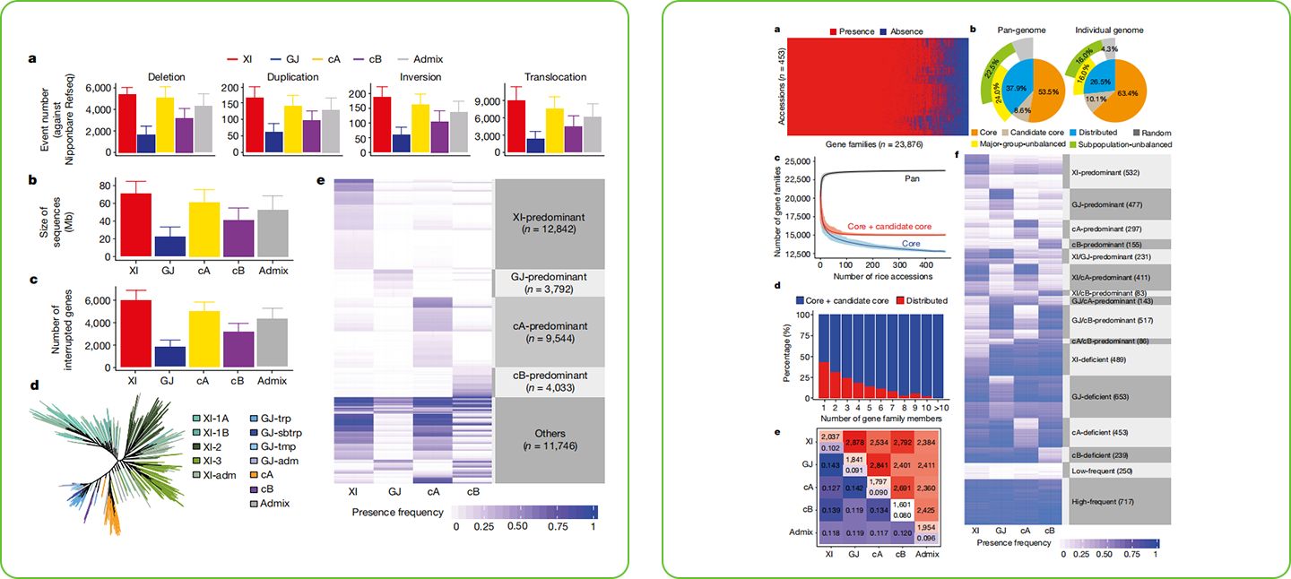 1739260542326 1739238800907