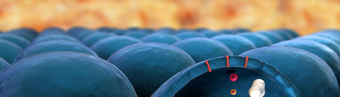 非靶向代谢组学(LC-MS/MS)