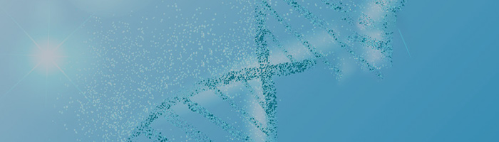 高通量靶向代谢组