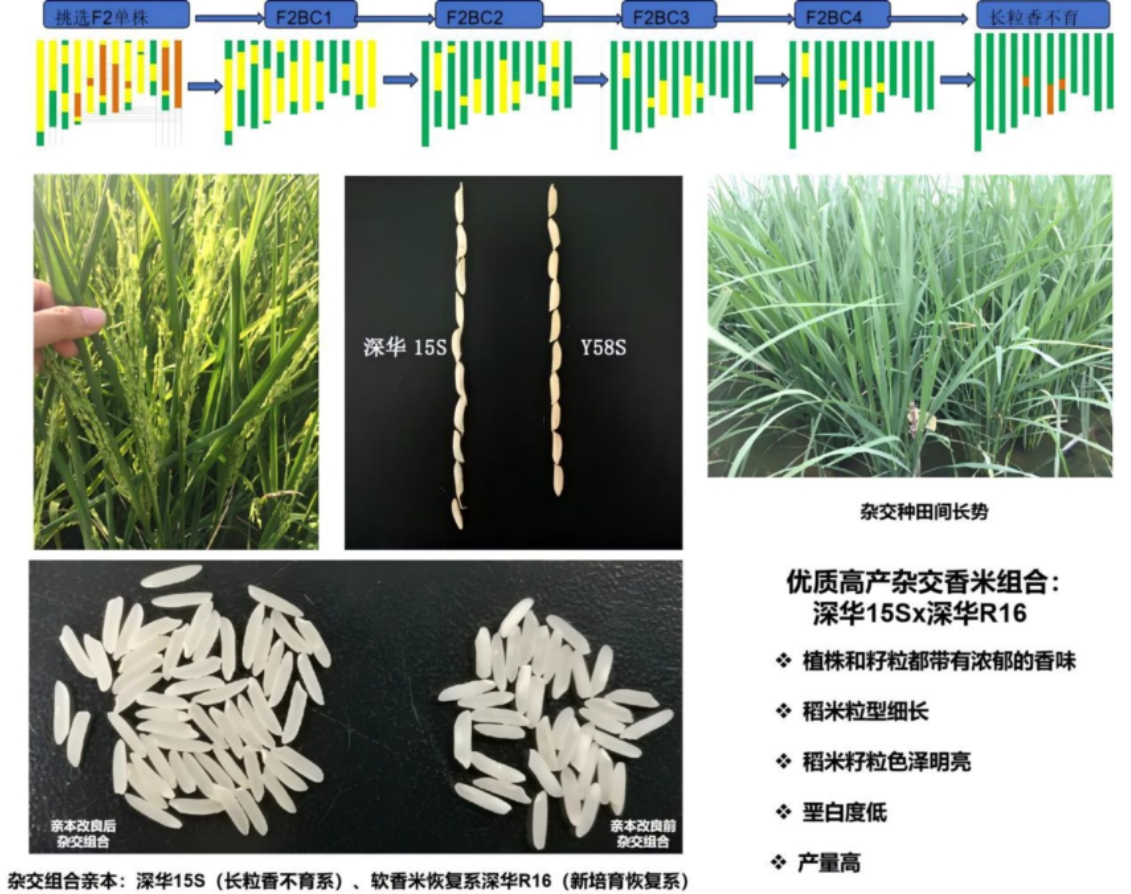 PixPin_2025-07-07_14-57-46