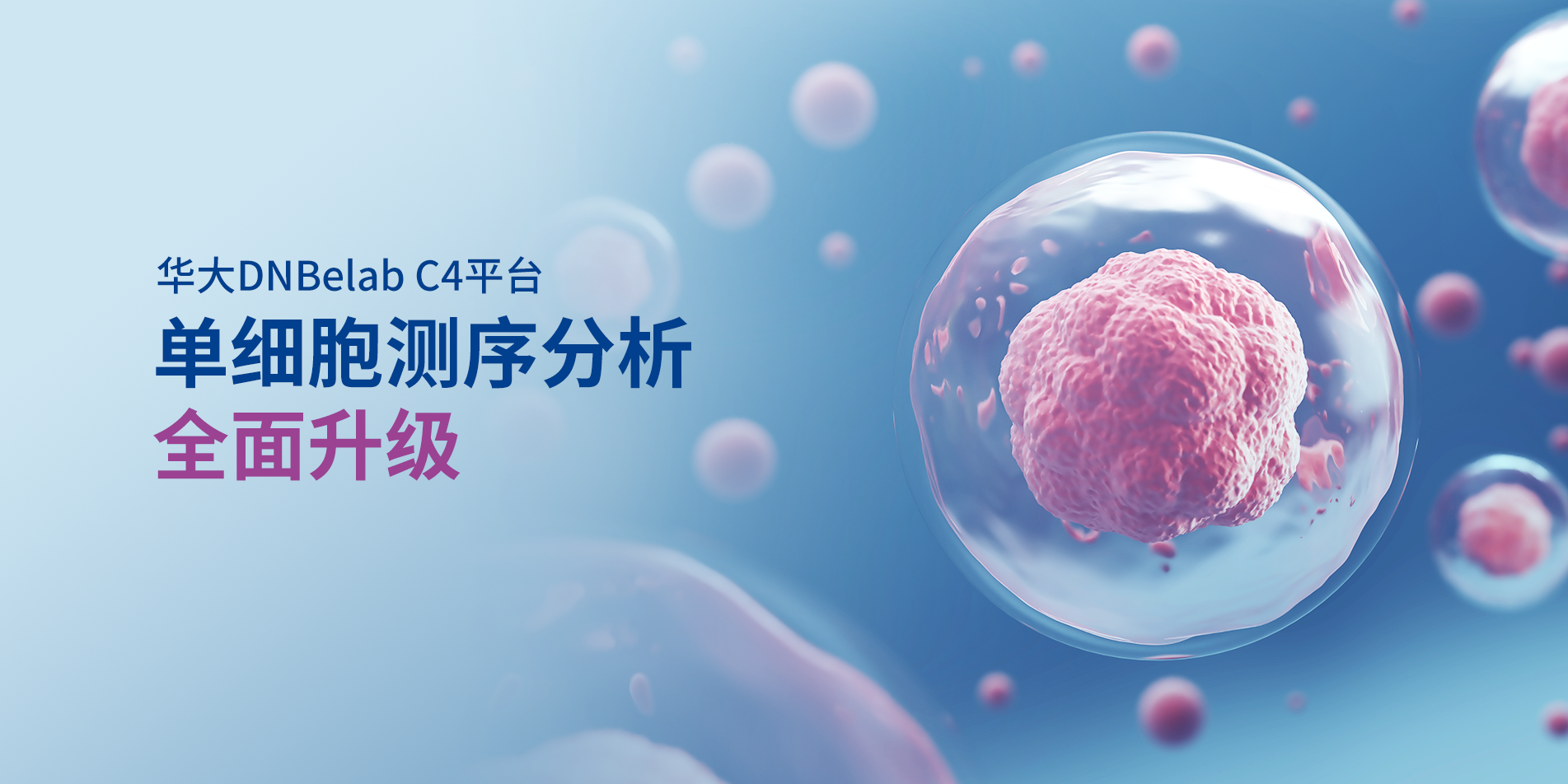 【活动】单细胞高级分析