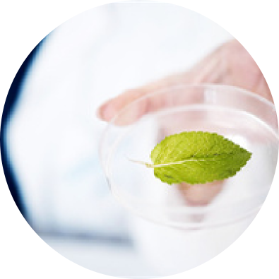 中高密度基因分型-液相芯片