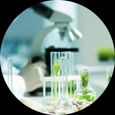 育种多组学生信分析