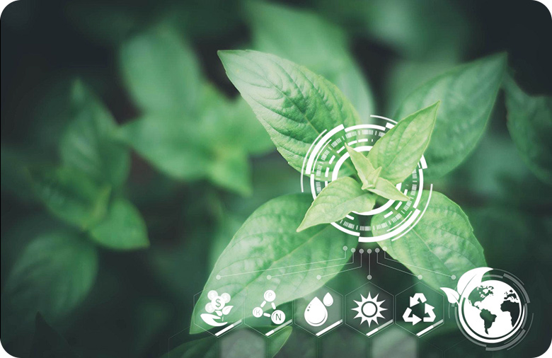 低密度<span>基因分型</span>- 编码微芯片高通量基因分型系统